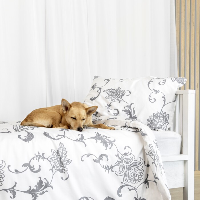 Kaip išsirinkti patalyne? |Nostra.lt